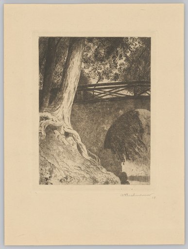 Stone Bridge with Wooden Railing. In Front, Two Tree Trunks with Aerial Roots on the Slope