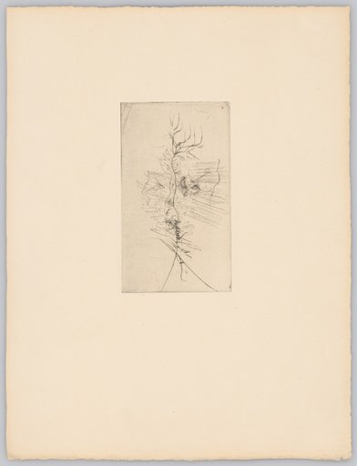 Bare Little Tree