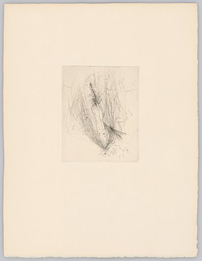 Flowering Nude
