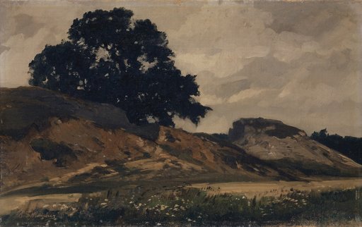 Hilly Landscape with a Large Tree