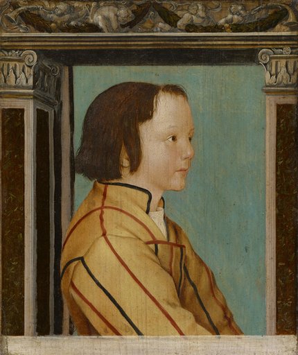 Portrait of a Boy with Brown Hair