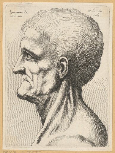 Head