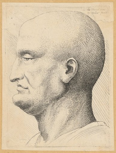 Head