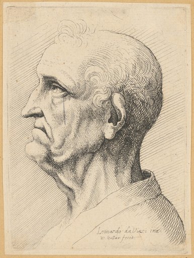 Grotesque Head