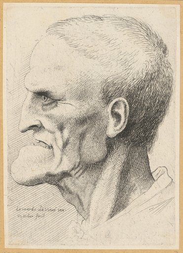 Grotesque Head