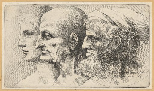 Three Profile Head Studies