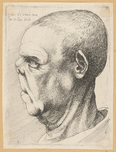 Grotesque Head