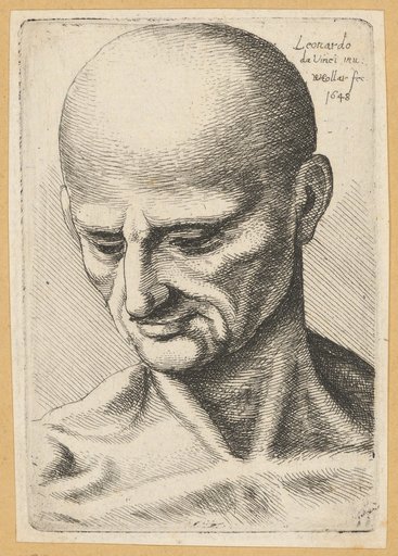 Grotesque Head