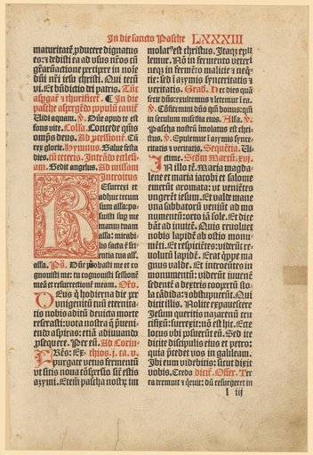 Gothic Initial R with Decorative Foliage
