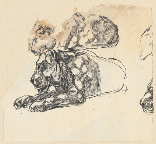 Reclining Lion
