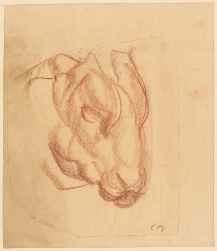 Bull's Skull in Three-Quarter View