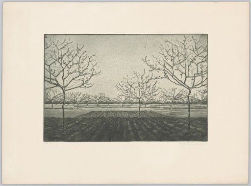 Spring