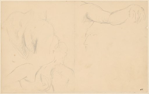 Outstretched Left Arm and Male Torso in Back View