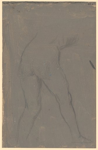 Back View of a Nude