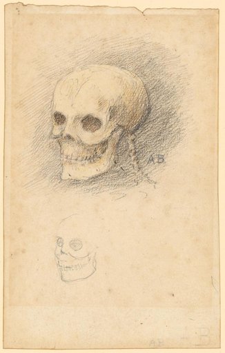 Skull