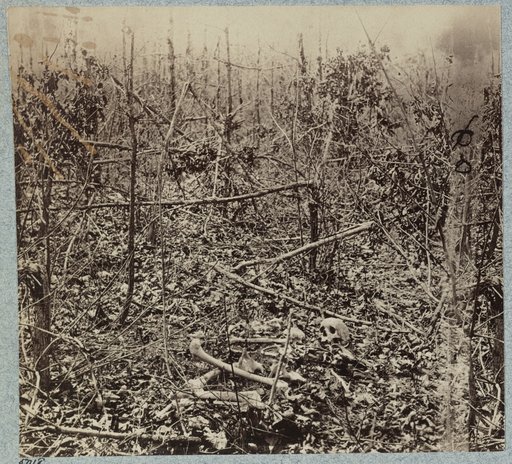 Views in the woods in the Federal lines on north side of Orange Plank Road
