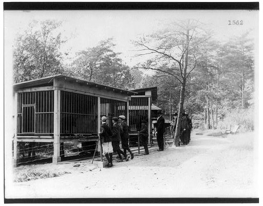 Group of people looking at bears in cages in the National Zoo, Washington, D.C.