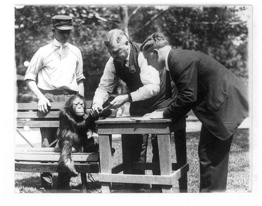 Three men, one wearing badge, and orangutan(?) at the National Zoo, Washington, D.C.