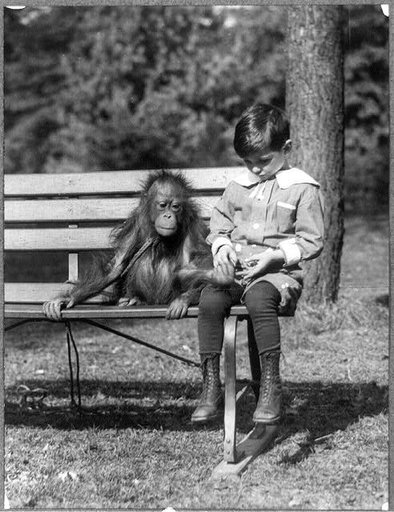Boy seated with orangutan on bench at the National Zoo, Washington, D.C.