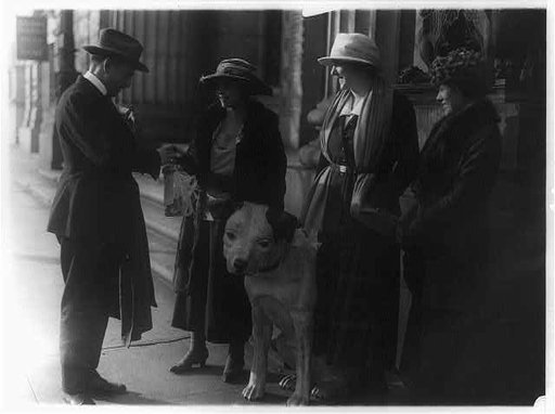 Society folk turn out to plead for donations to the House of Mercy