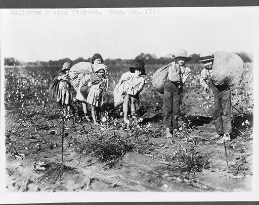 Children cotton pickers