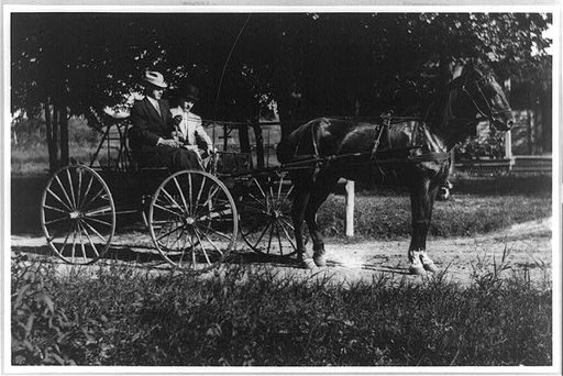 Two men in a horse-drawn vehicle [wagon] in Vienna, Va.