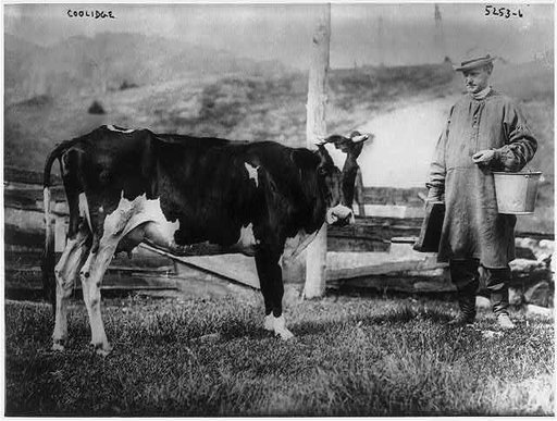 Calvin Coolidge, Pres. U.S., 1872-1933