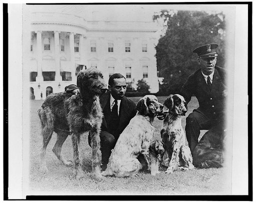 P.E. Allen of the White House police force and Harry Waters [White House Master of Hounds] with some of the White House dogs