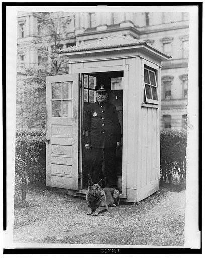 King Tut, the President's Belgian Police dog has taken up his duties at the White House and makes regular rounds to see that the guards are in their places