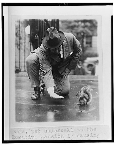 Pete, pet squirrel at the Executive Mansion, is causing Laddie Boy to look to his laurels