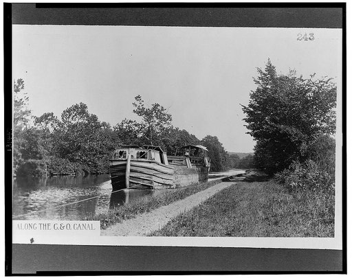 Along the C. & O. Canal