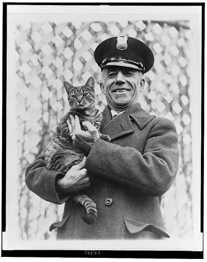 "Tige" the White House cat and pet of Mrs. Coolidge has been returned