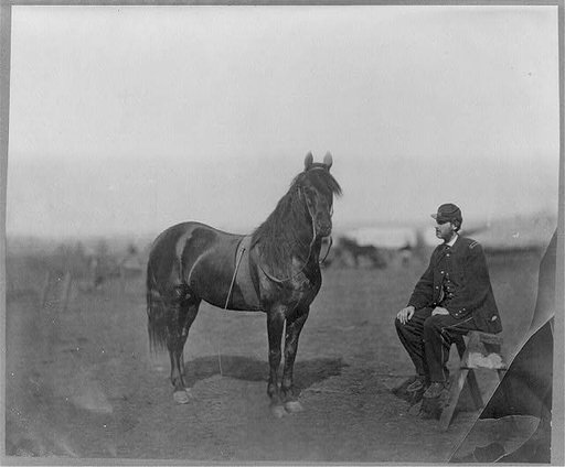 Charles W. Woolsey