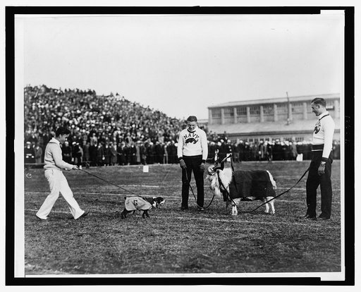 Georgetown--Navy game, G. W. bulldog and Navy goat