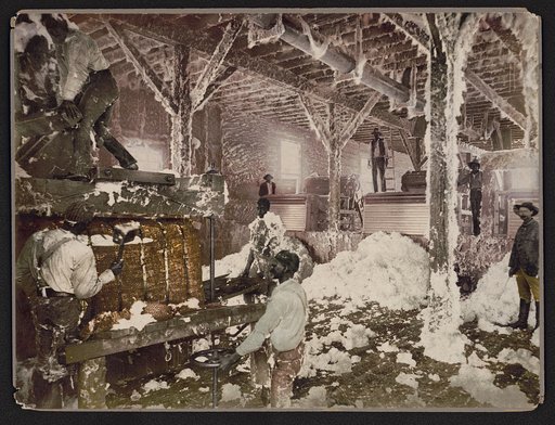 Mississippi cotton gin at Dahomey