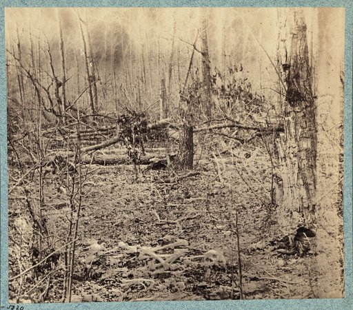 Views in the woods in the Federal lines on north side of Orange Plank Road