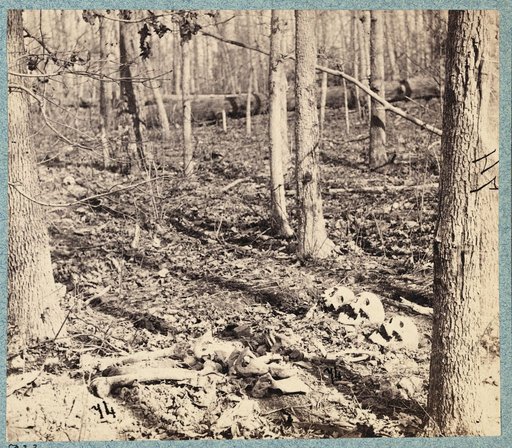 Views in the woods in the Federal lines on north side of Orange Plank Road