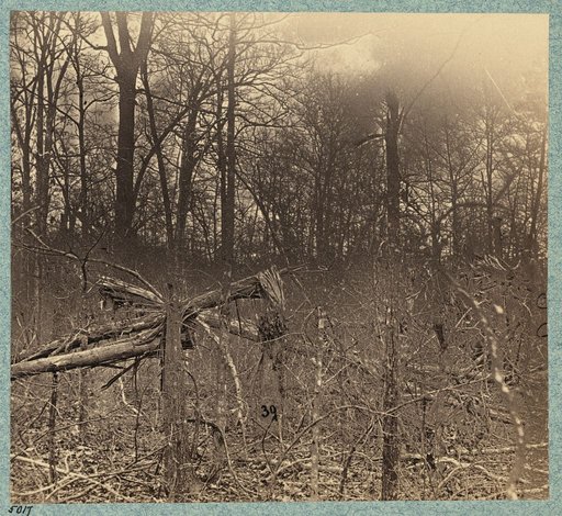 Views in the woods between Palmers and Spotswoods Houses at point where Federals carried Confederate entrenchments