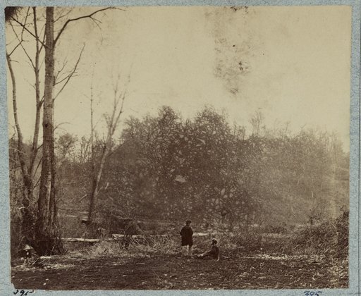Chickasaw Bluffs, Miss. February 1864