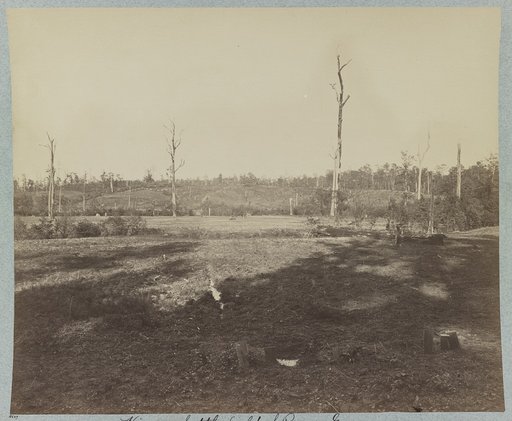View on battle-field of Resaca, Ga.