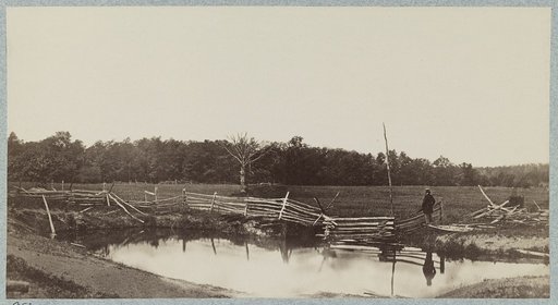 The battle-field of Gettysburg. McPherson's woods in which Archer's (Confederate) Brigade was captured, view of the side towards the Chambersburg pike