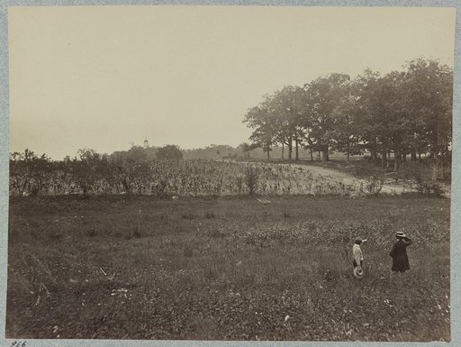 Battle-field of Gettysburg. Scene of General Reynold's death