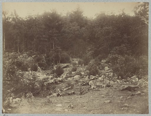 The battle-field of Gettysburg. The valley of the shadow of death. Between Round Top and Little Round Top