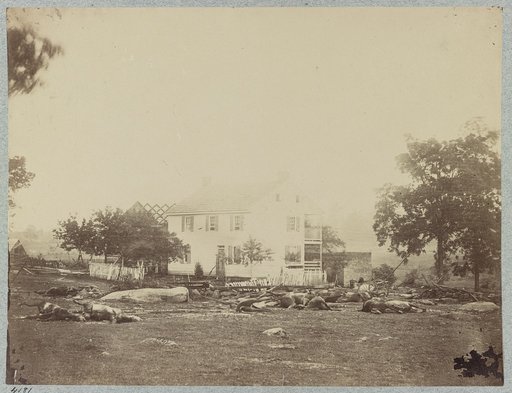 The battle-field of Gettysburg. Dead horses of Bigelows (9th Massachusetts) Battery