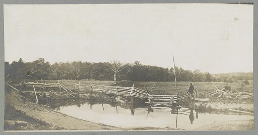 Gettysburg, Pa. July 1863. Battlefield of Gettysburg. Woods on left of Chambersburg Pike in which Archers Brigade was captured. (Also called the Wheat Field). Brady the photographer is shown