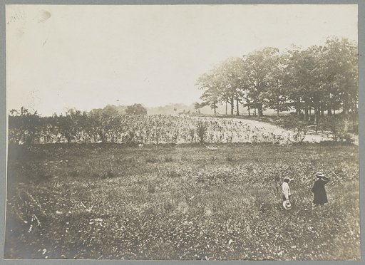 Gettysburg, Pa. July 1863. Battlefield of Gettysburg. View of point of woods where General Reynolds was killed, July 1, 1863