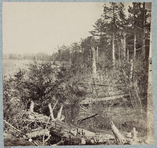 Confederate entrenchments at edge of woods, Palmer's field, on Orange Turnpike