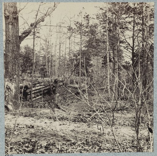 Confederate entrenchments in the woods near Spotswood's House