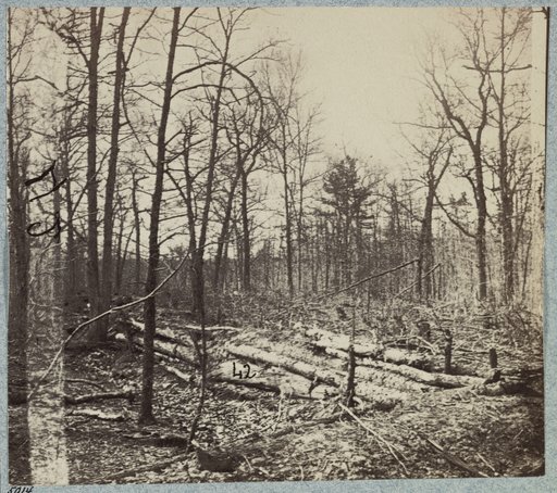 Confederate entrenchments in the woods near Spotswood's House