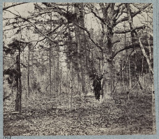 Views on the battle-field of morning of May 12th, 1864, scene of capture of Johnson's Division, C.S.A.